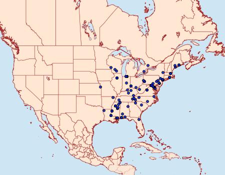 Distribution Data for Sinoe robiniella