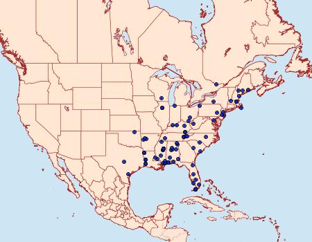 Distribution Data for Exoteleia pinifoliella