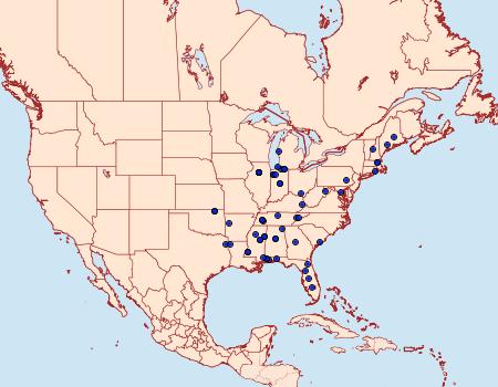 Distribution Data for Trypanisma prudens