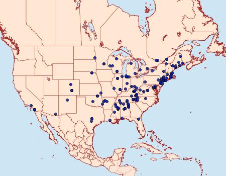 Distribution Data for Taygete attributella