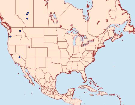 Distribution Data for Lampronia sublustris