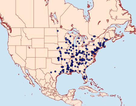 Distribution Data for Arogalea cristifasciella