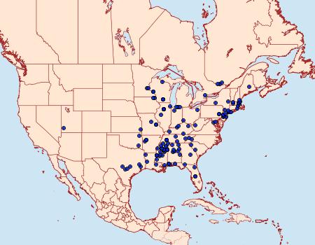 Distribution Data for Pubitelphusa latifasciella