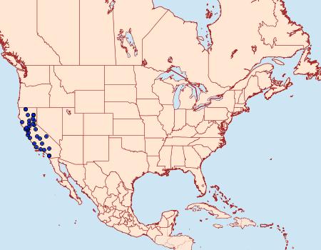 Distribution Data for Pseudochelaria manzanitae