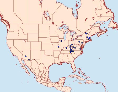 Distribution Data for Pseudochelaria pennsylvanica