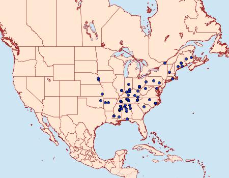 Distribution Data for Pseudochelaria walsinghami