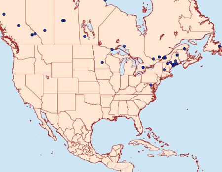 Distribution Data for Carpatolechia belangerella