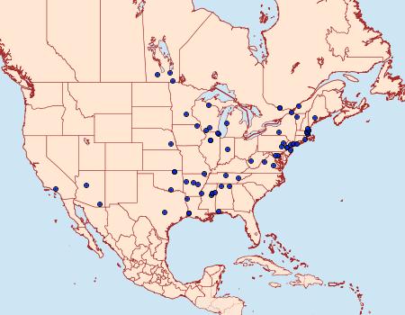 Distribution Data for Xenolechia ontariensis