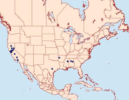 Distribution Data for Xenolechia querciphaga