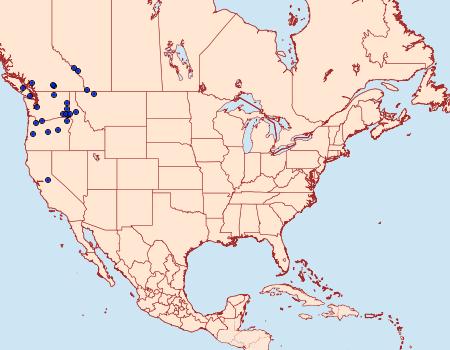 Distribution Data for Greya piperella