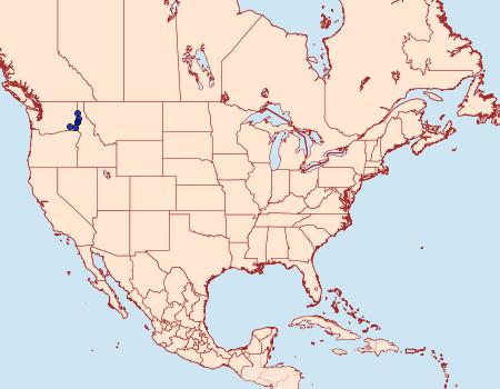 Distribution Data for Greya mitellae