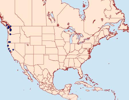 Distribution Data for Greya punctiferella