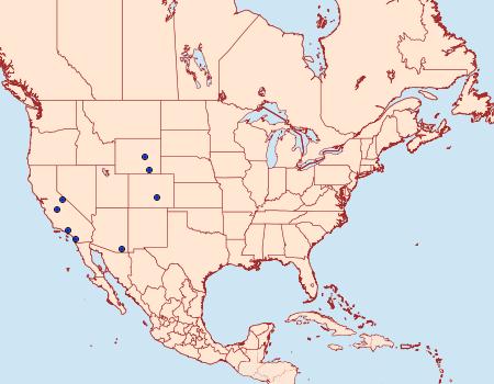 Distribution Data for Prolita pagella