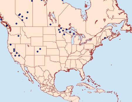 Distribution Data for Prolita sexpunctella