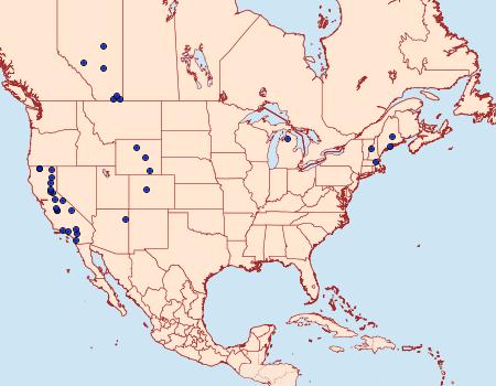 Distribution Data for Prolita variabilis