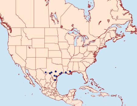 Distribution Data for Friseria acaciella