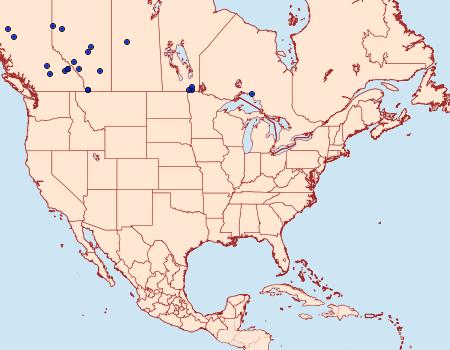 Distribution Data for Bryotropha plantariella