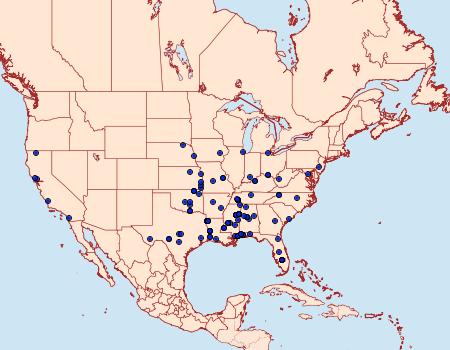 Distribution Data for Deltophora sella