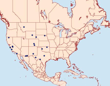 Distribution Data for Gelechia bianulella