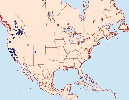 Distribution Data for Greya politella