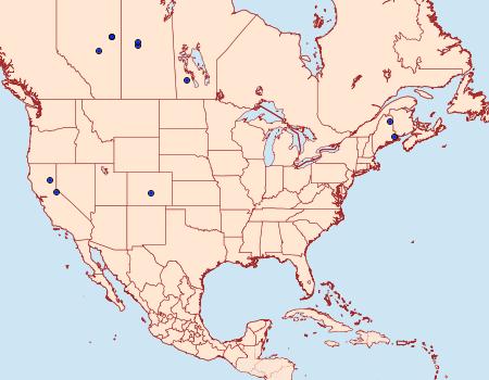 Distribution Data for Gelechia dyariella