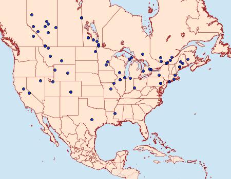 Distribution Data for Gelechia lynceella