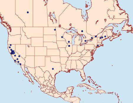 Distribution Data for Gelechia versutella