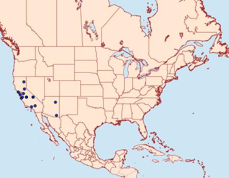 Distribution Data for Gnorimoschema coquillettella