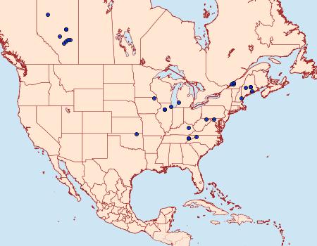 Distribution Data for Gnorimoschema gallaeasterella