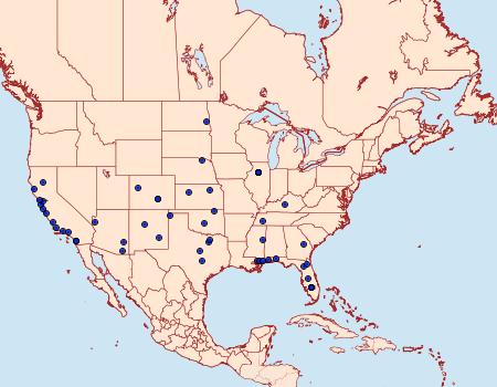 Distribution Data for Gnorimoschema saphirinella