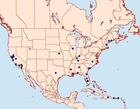 Distribution Data for Phthorimaea operculella