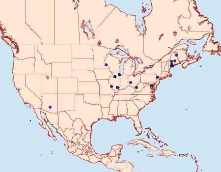 Distribution Data for Scrobipalpula artemisiella