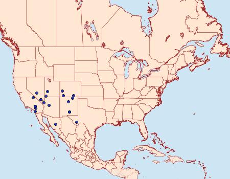 Distribution Data for Prodoxus coloradensis