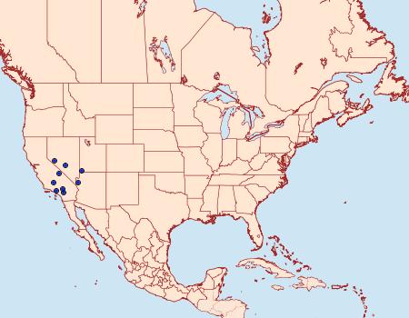 Distribution Data for Prodoxus sordidus