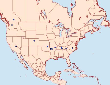 Distribution Data for Caryocolum pullatella