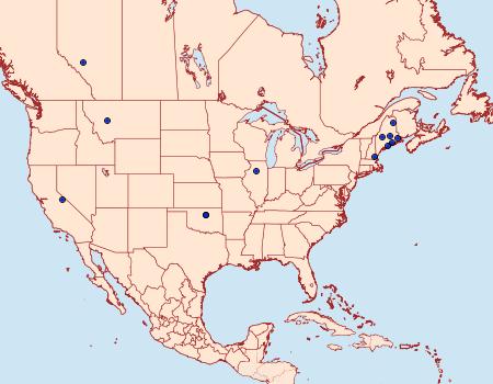 Distribution Data for Scrobipalpopsis petrella