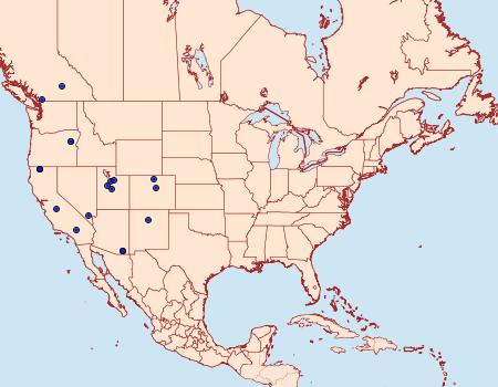 Distribution Data for Chionodes metoecus