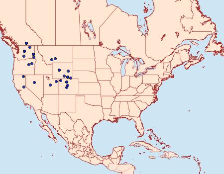 Distribution Data for Chionodes agriodes