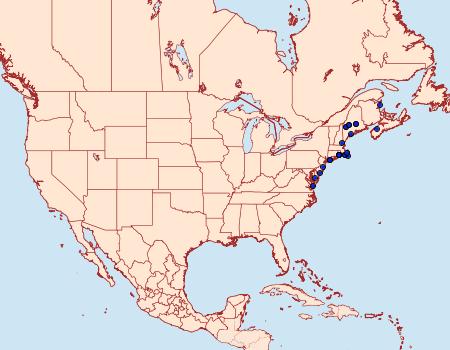 Distribution Data for Chionodes arenella