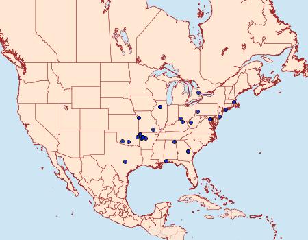 Distribution Data for Chionodes hapsus