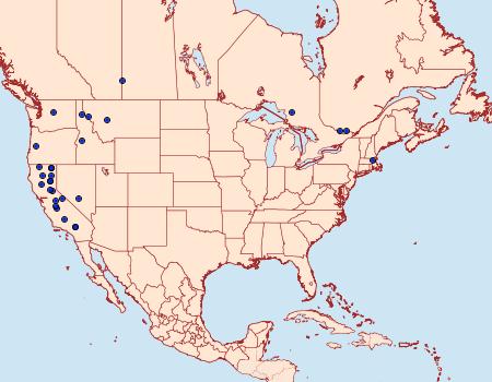 Distribution Data for Chionodes abitus