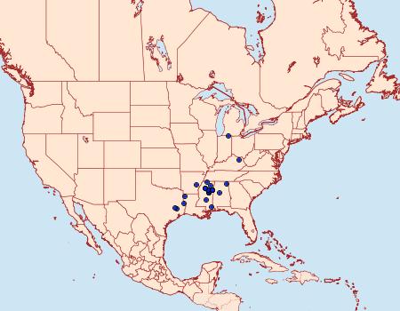 Distribution Data for Chionodes suasor