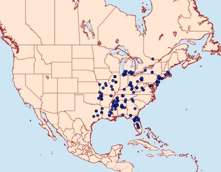 Distribution Data for Chionodes bicostomaculella