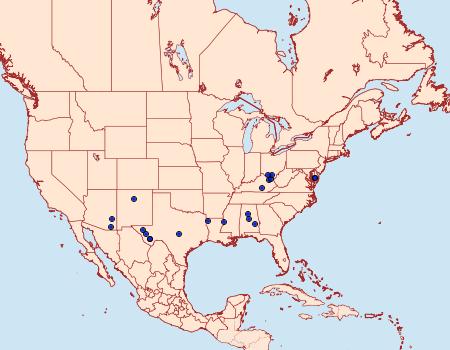 Distribution Data for Chionodes aruns