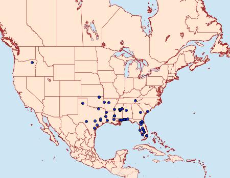 Distribution Data for Chionodes emptor