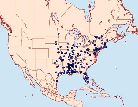 Distribution Data for Chionodes discoocellella