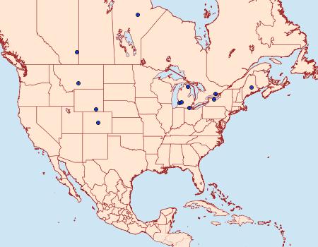 Distribution Data for Chionodes flavicorporella