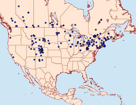 Distribution Data for Chionodes praeclarella