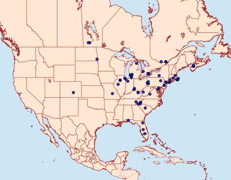 Distribution Data for Chionodes formosella