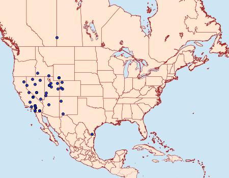 Distribution Data for Chionodes fructuaria